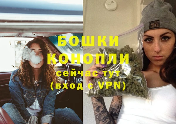 индика Липки
